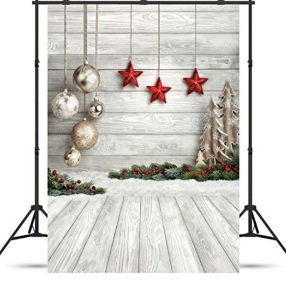 NEW Christmas Photograph Backdrop